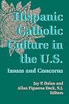Hispanic Catholic Culture in the U.S.: Issues and Concerns (History of Hispanic Catholics in U.S.) (v. 3)