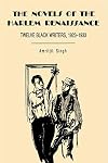The novels of the Harlem renaissance : twelve black writers, 1923-1933