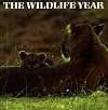 The Wildlife Year: Life Cycles of Nature Around the World