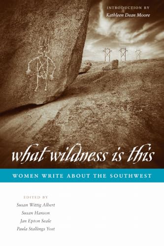 What Wildness Is This: Women Write about the Southwest book cover