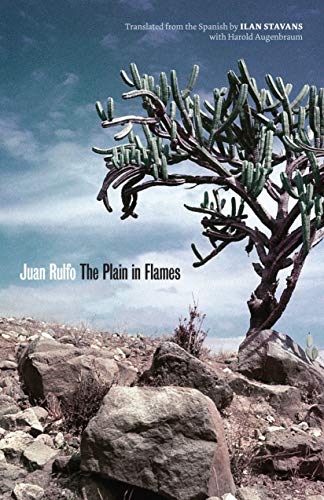 The Plain in Flames / The Burning Plain cover