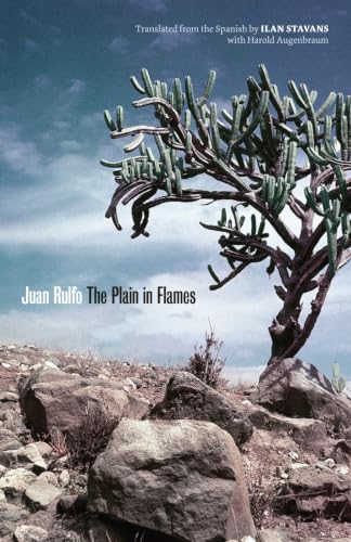 The Plain in Flames / The Burning Plain book cover