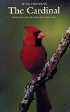 The Cardinal