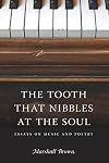 The Tooth That Nibbles at the Soul: Essays on Music and Poetry