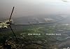 Yamuna Walk