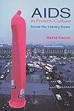 Aids In French Culture Social Ills Literary Cures