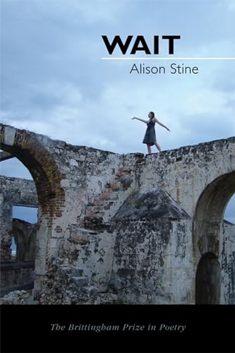 Wait book cover