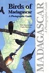Birds of Madagascar: A Photographic Guide
