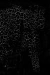 Black Square: Malevich and the Origin of Suprematism