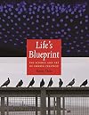 Life's Blueprint: The Science and Art of Embryo Creation