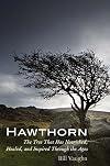 Hawthorn: The Tree That Has Nourished, Healed, and Inspired Through the Ages