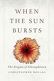 When The Sun Bursts The Enigma Of Schizophrenia
