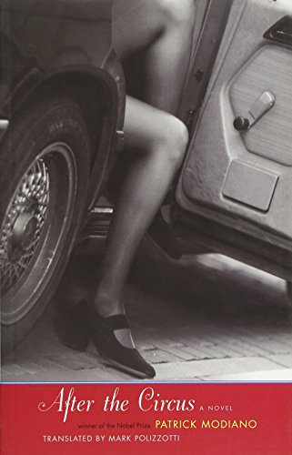 After the Circus book cover