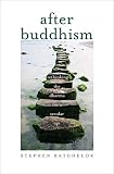 After Buddhism Rethinking The Dharma For A Secular Age