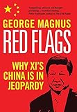 Red Flags Why Xis China Is In Jeopardy