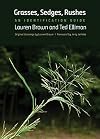 Grasses, Sedges, Rushes: An Identification Guide