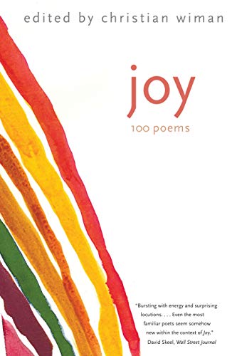 Joy book cover