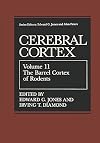 The barrel cortex of rodents