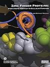 Zinc Finger Proteins From Atomic Contact to Cellular Function