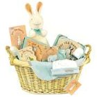 Cover of Fuzzy Pat the Bunny Gift Basket