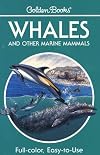 Whales