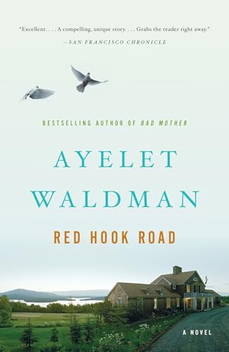 Red Hook Road book cover