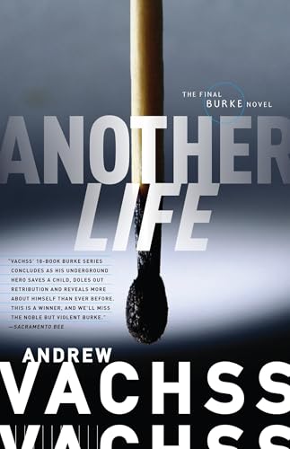 Another Life cover