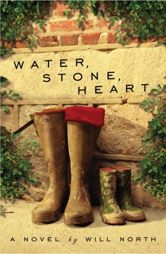 Water, Stone, Heart book cover