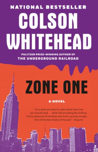 Zone One book cover