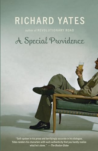 A Special Providence book cover