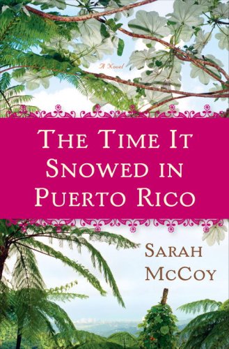 The Time It Snowed in Puerto Rico book cover