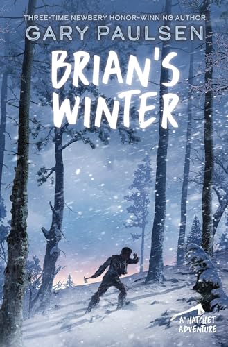 Brian's Winter / Winter book cover
