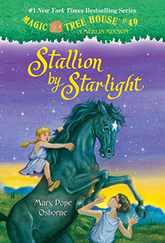 Stallion by Starlight book cover