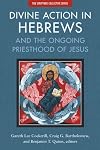 Divine Action in Hebrews: And the Ongoing Priesthood of Jesus (The Scripture Collective Series)