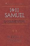 I and II Samuel: A Commentary (Library of Biblical Interpretation)