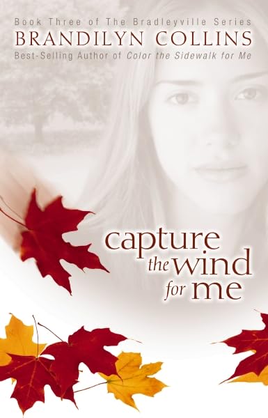 Capture the Wind for Me book cover