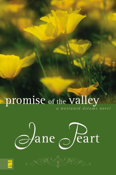 Promise of the Valley book cover