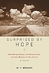 Surprised by Hope Participant's Guide: Rethinking Heaven, the Resurrection, and the Mission of the Church, Six Sessions