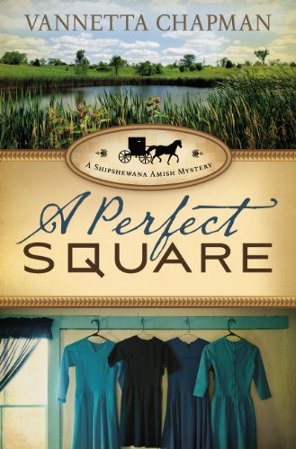 A Perfect Square book cover