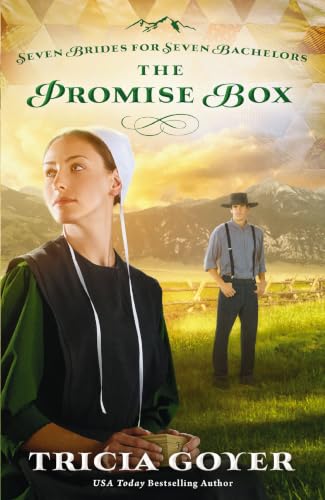 The Promise Box book cover