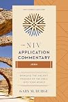 John: The NIV Application Commentary