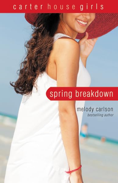 Spring Breakdown book cover