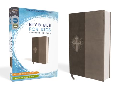 NIV Bible for Kids, Gray