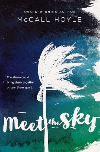 Cover of Meet the Sky