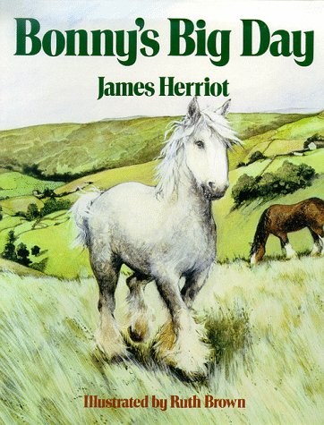 Bonny's Big Day book cover