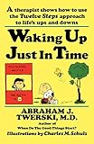 Waking Up Just In Time A Therapist Shows How To Use The Twelve Steps Approach To Lifes Ups And Downs