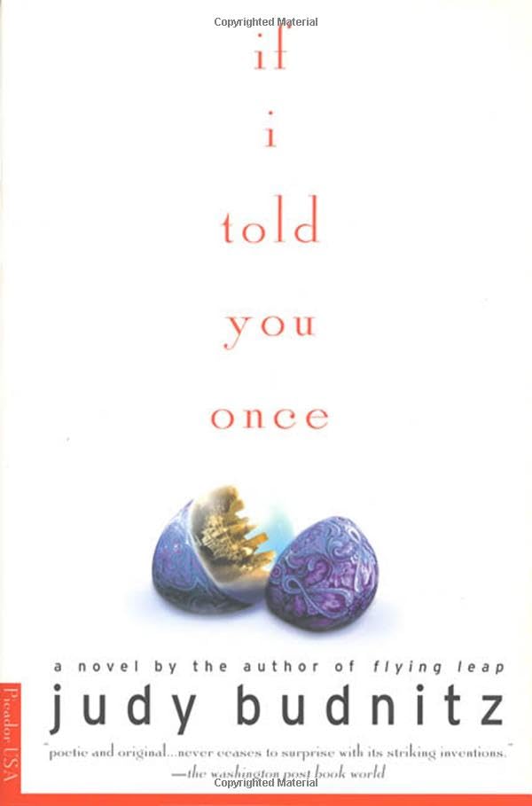 Cover of If I Told You Once