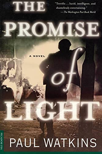 The Promise of Light book cover