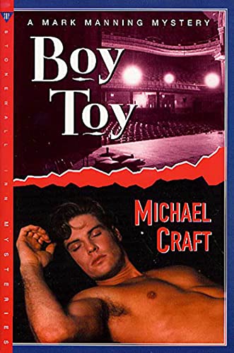 Boy Toy book cover