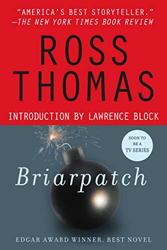 Briarpatch book cover